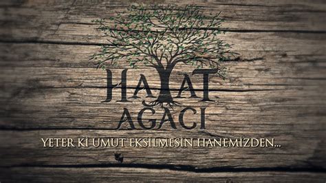 hayat agaci YouTube. 