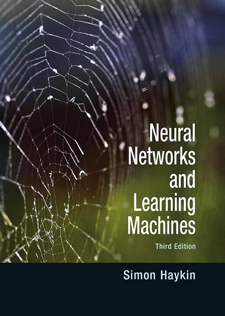haykin neural networks