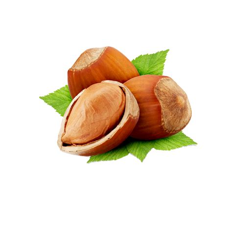 hazelnut | Hazelnut l g Cng Dng Thnh Phn