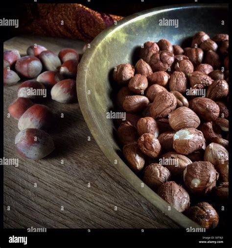 Hazelnuts In Spanish