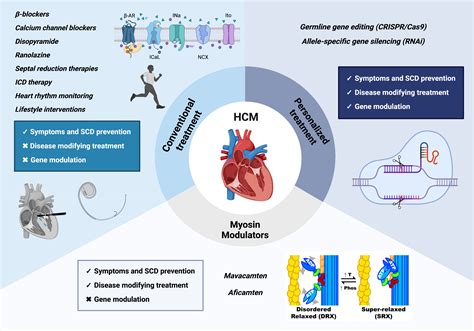 hcm