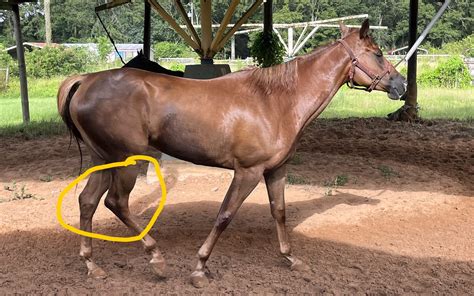 73 bet: Aposte nas Melhores Apostas Desportivas Online e Tenha a Garantia de Segurança nos Fundos - Foto 2