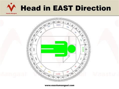 Latitude and longitude are the north/south and east/west coordi