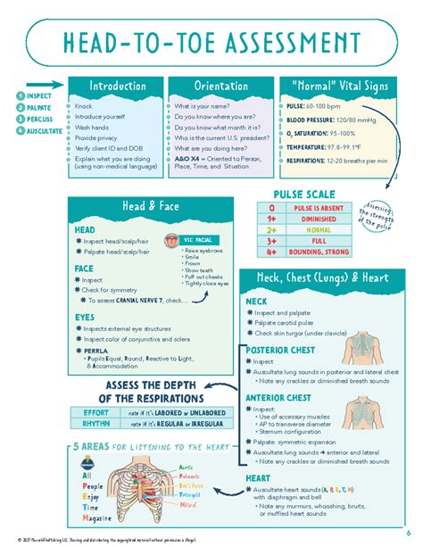 Head To Toe Assessment Cheat Sheet