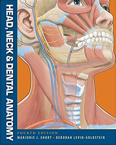 Full Download Head Neck And Dental Anatomy 4Th Edition 