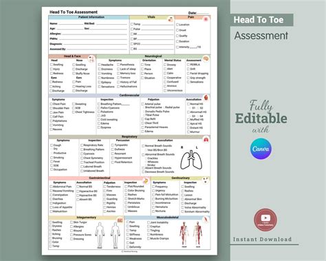 Full Download Head To Toe Documentation Nursing 