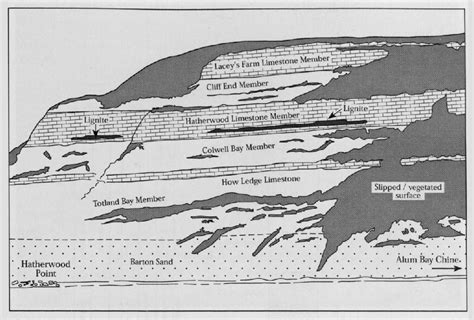 headon hill biography samples