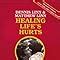 Download Healing Lifes Hurts 
