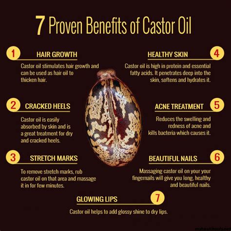 Health Benefits Of Castor Oil Packs And How To Use Them - Bambu4d