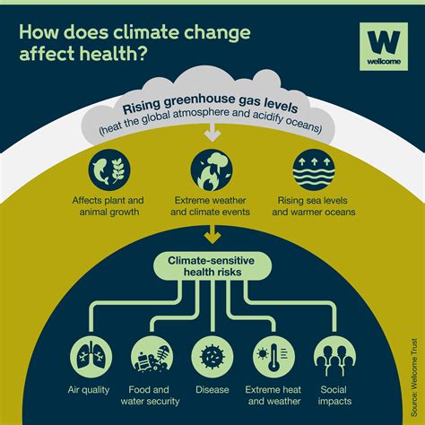 Download Health Impacts Of Climate Change Wordpress 