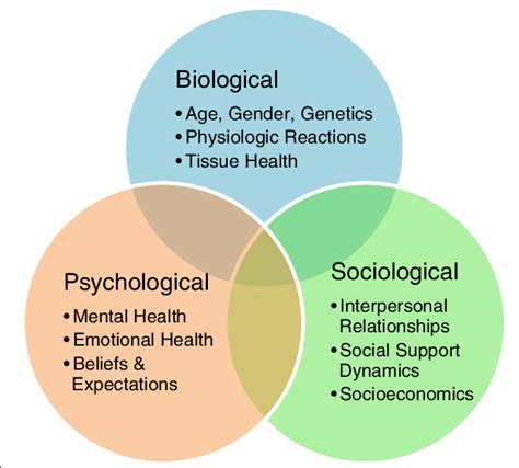 Read Health Psychology Biophysical Social Interactions 