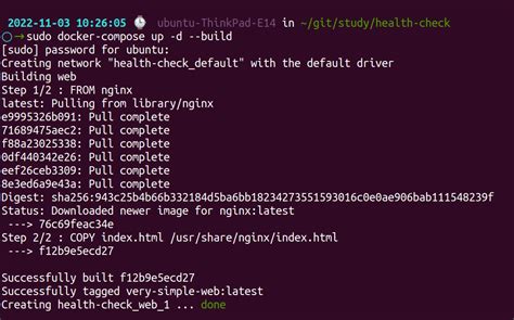 healthcheck docker | healthcheck docker Visual Studio properti build