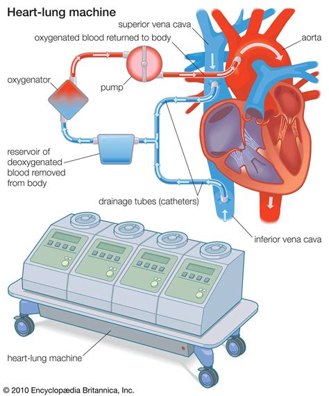 Heart Of The Machine Our Future In A World Of Artificial Emotional Intelligence