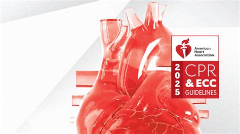 Heart Org Ecc Student