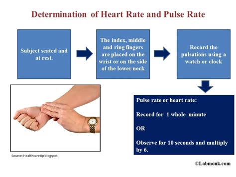 heart rate and pulse rate relationship