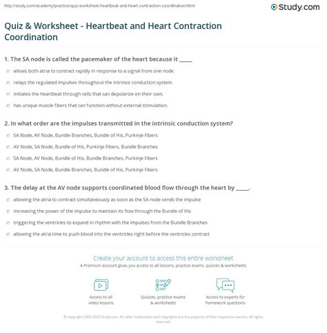 Heartbeat And Heart Contraction Coordination Quiz Amp Worksheet Cardiac Conduction Worksheet Answers - Cardiac Conduction Worksheet Answers