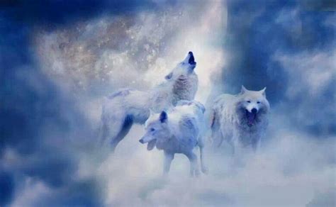 Heaven For Wolves