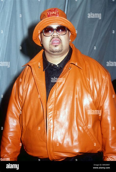 Heavy D Rapper