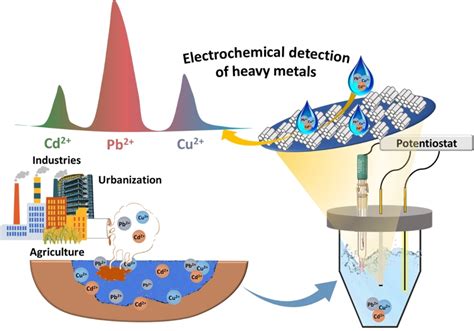 Heavy Metal Contamination Detection Using X Rays
