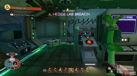 Hedge Lab Grounded Walkthrough