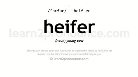 heifer - pronunciation of heifer by Macmillan Dictionary