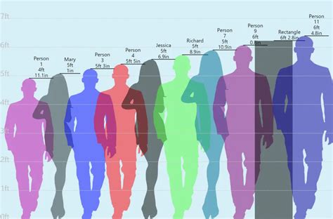 Height Comparison Chart