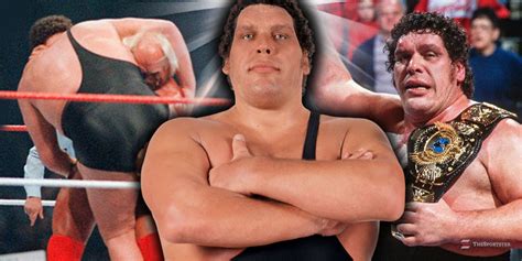 Height Of Andre The Giant