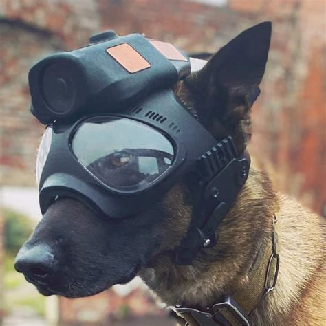 heliguy™ Tactical Police Dog Camera