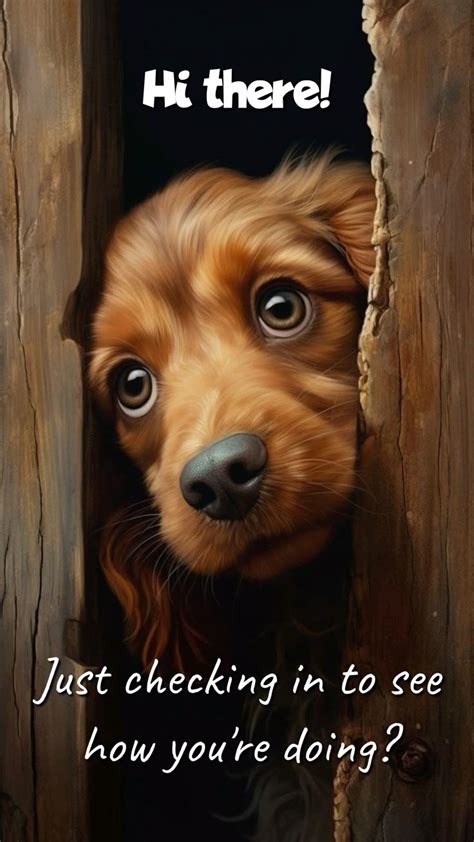 Hello How Are You Doing