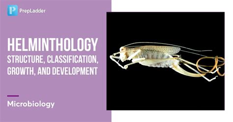 helminthology notes