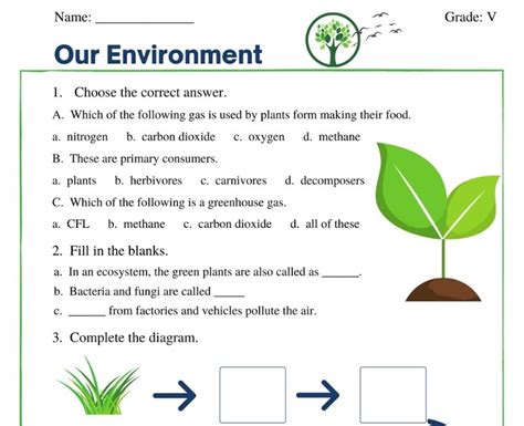 Help The Environment Worksheet The Greenhouse Effect Worksheet - The Greenhouse Effect Worksheet