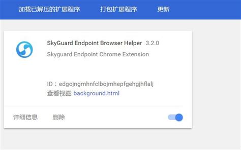 Helper Video Browser Extension
