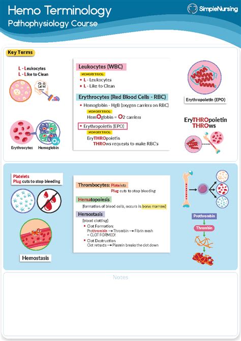 Read Online Hematologic Pathophysiology 
