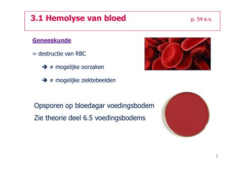 hematologie uitleg