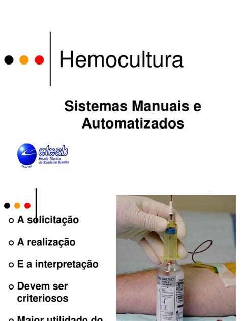 hemocultura - catarina paolina