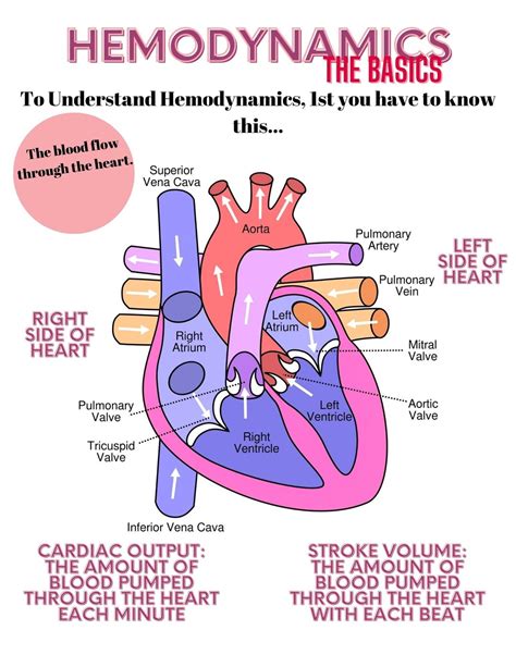 Hemodynamics Made Easy