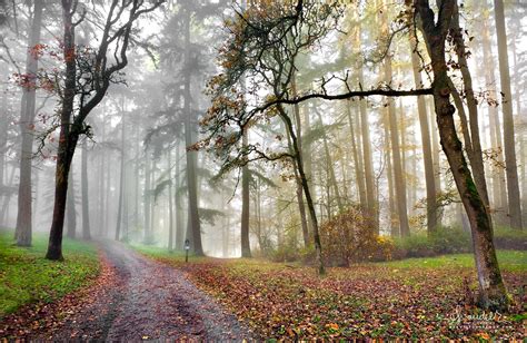 hendricks park oregon