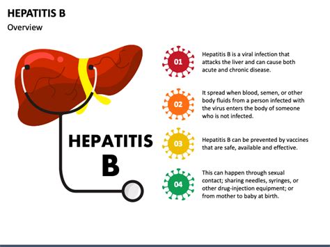 Hepatitis B Ppt