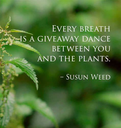 Herbal Plants Quotes