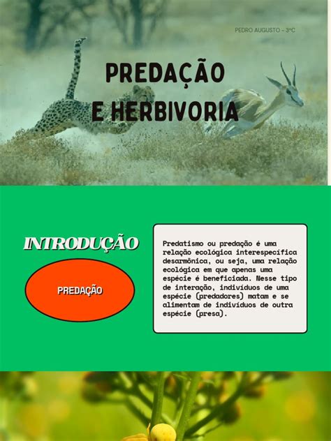 herbivoria-1