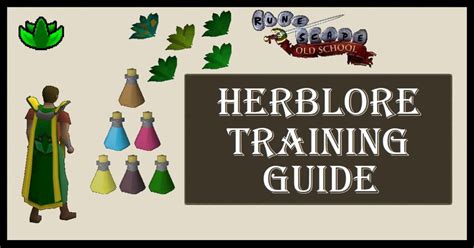 Herblore Training Osrs
