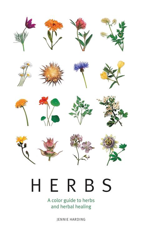 herbs a color guide to herbs and herbal healing