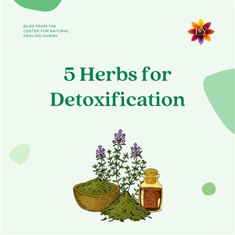 Herbs For Detoxification