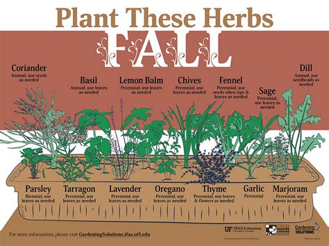 herbs to grow in fall