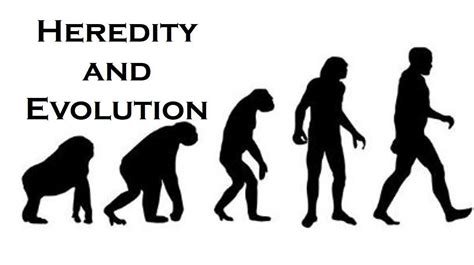 Heredity And Evolution
