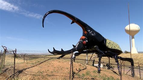 herkimer the worlds largest beetle