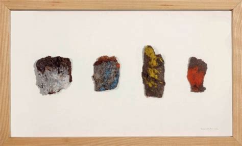 herman de vries tree barks function