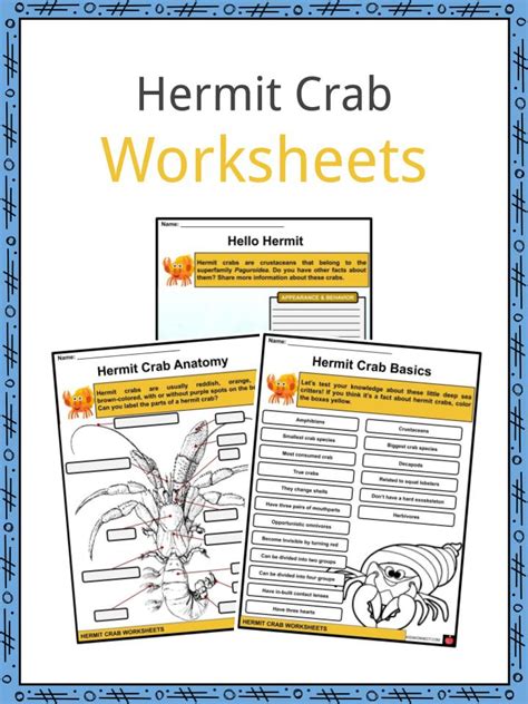 Hermit Crab Facts Amp Worksheets Kidskonnect Math Crab - Math Crab