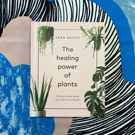 Hero Cassius Plants