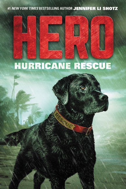 Download Hero Hurricane Rescue 
